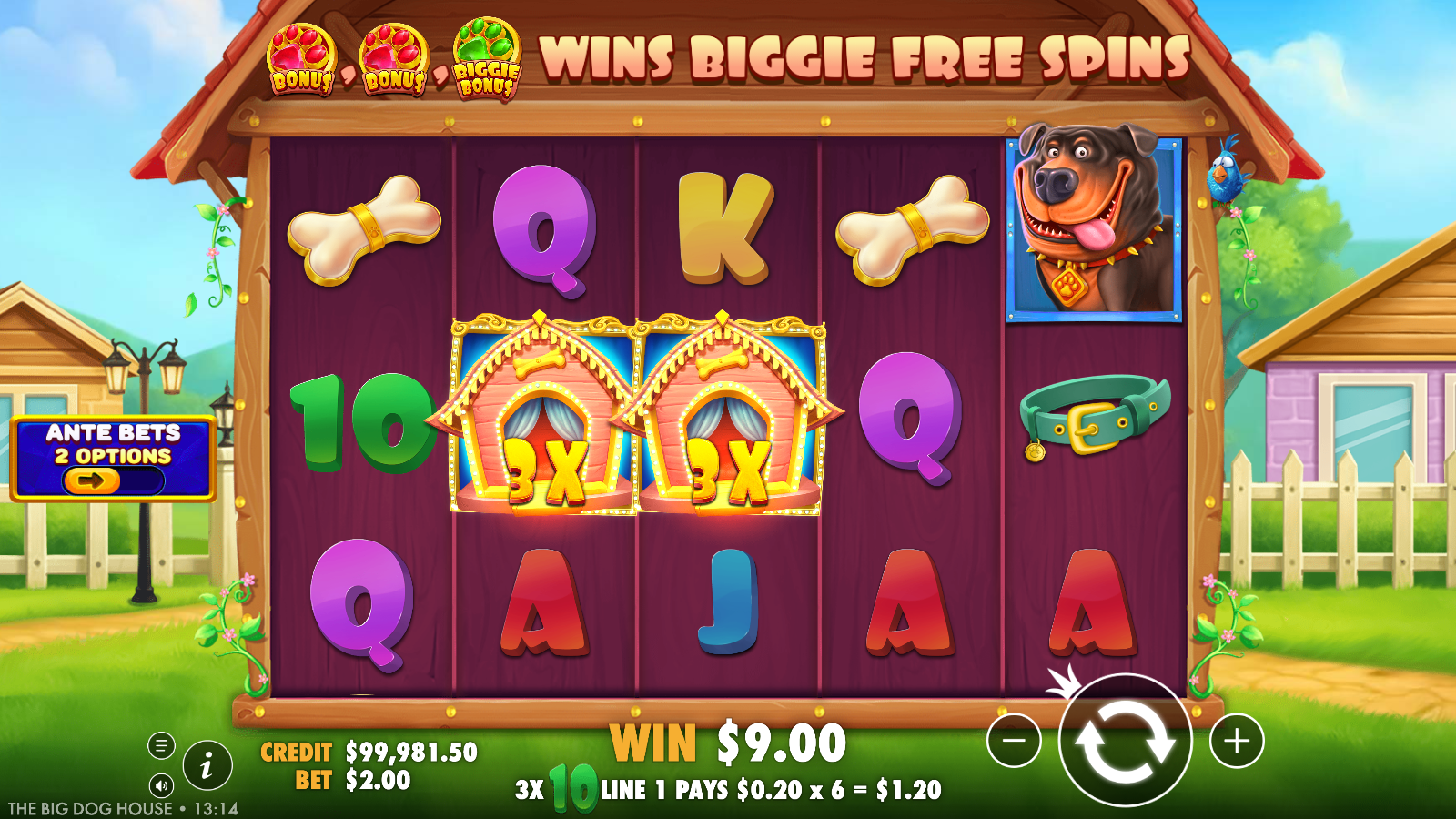 Two side-by-side expanded dog-house wilds on one winning line in The Big Dog House