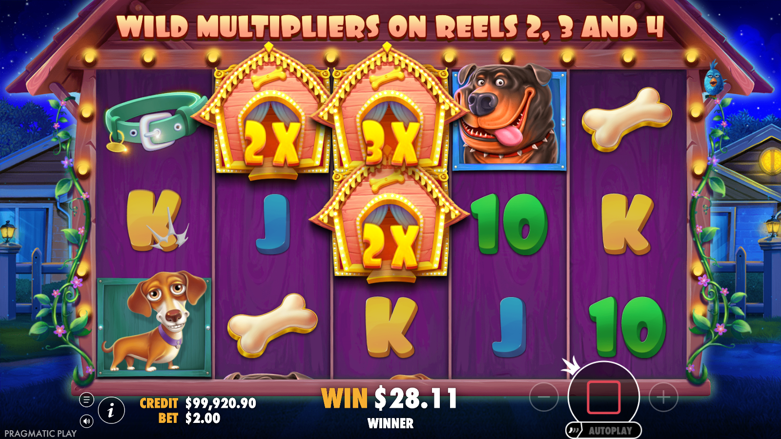 The Dog House free spins round in progress with nighttime backdrop and three sticky kennel wilds on reels 2 3 and 4 carrying 2X 3X and 2X multiplier badges